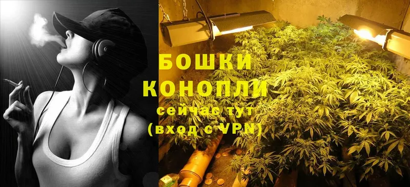 магазин продажи наркотиков  ОМГ ОМГ сайт  Бошки Шишки THC 21%  Владивосток 